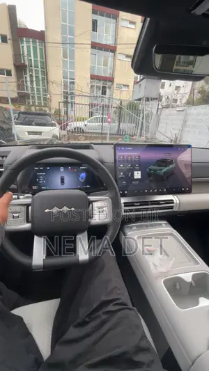 New BYD Leopard 7 2026 Black