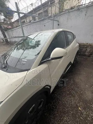 New BYD Seagull 2025 White