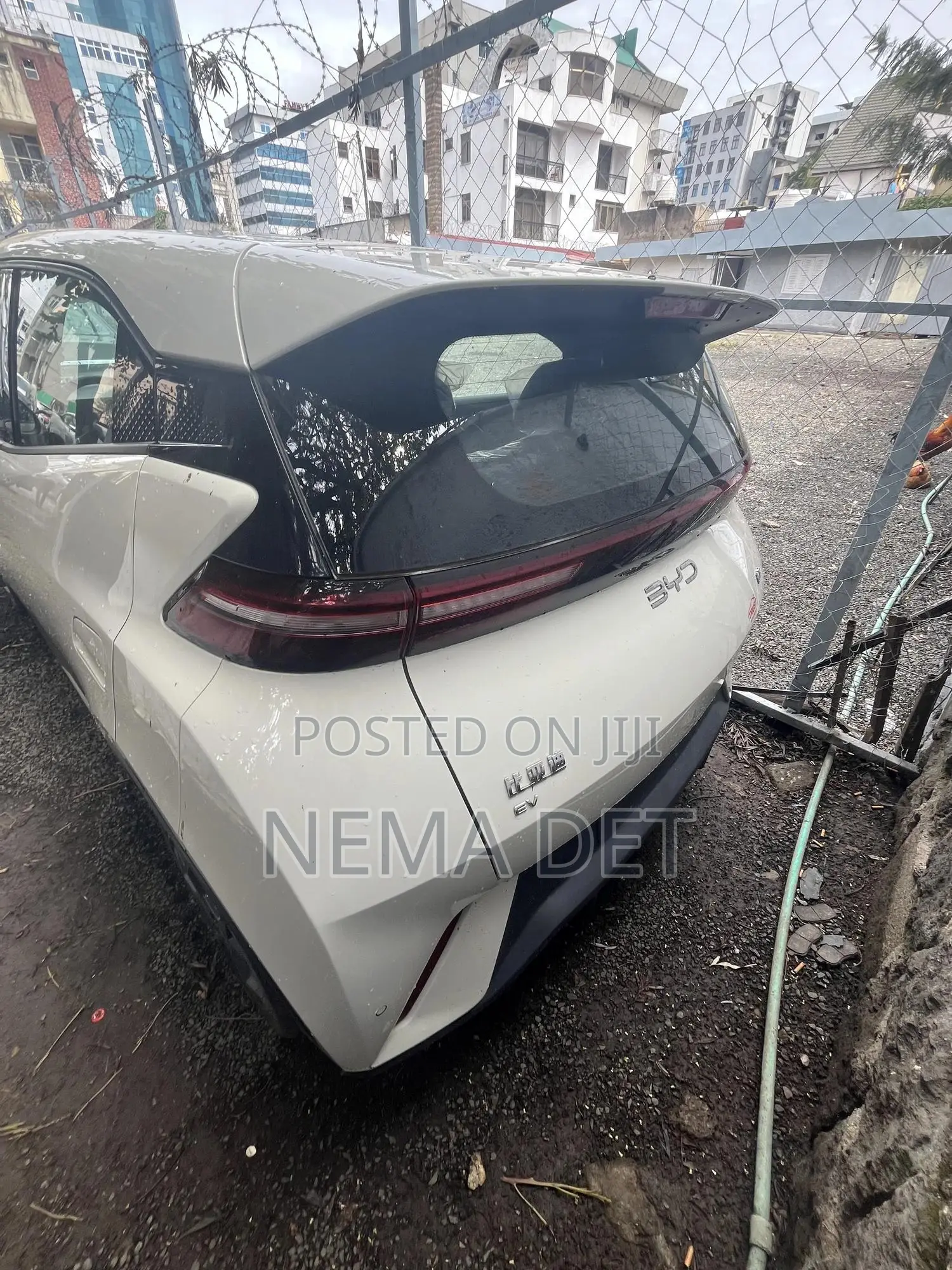 New BYD Seagull 2025 White