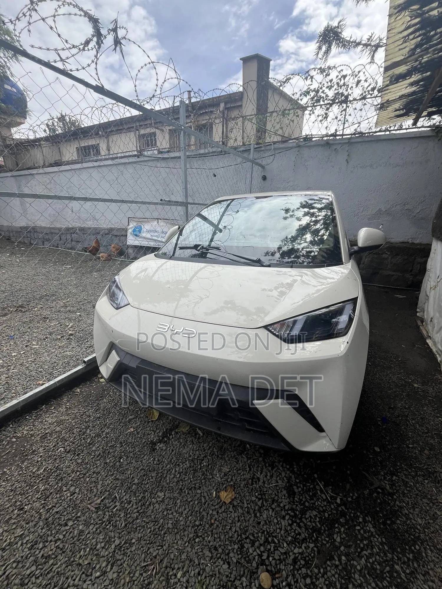 New BYD Seagull 2025 White