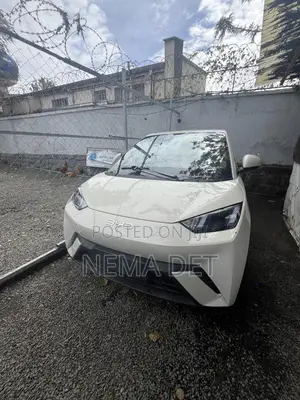 New BYD Seagull 2025 White