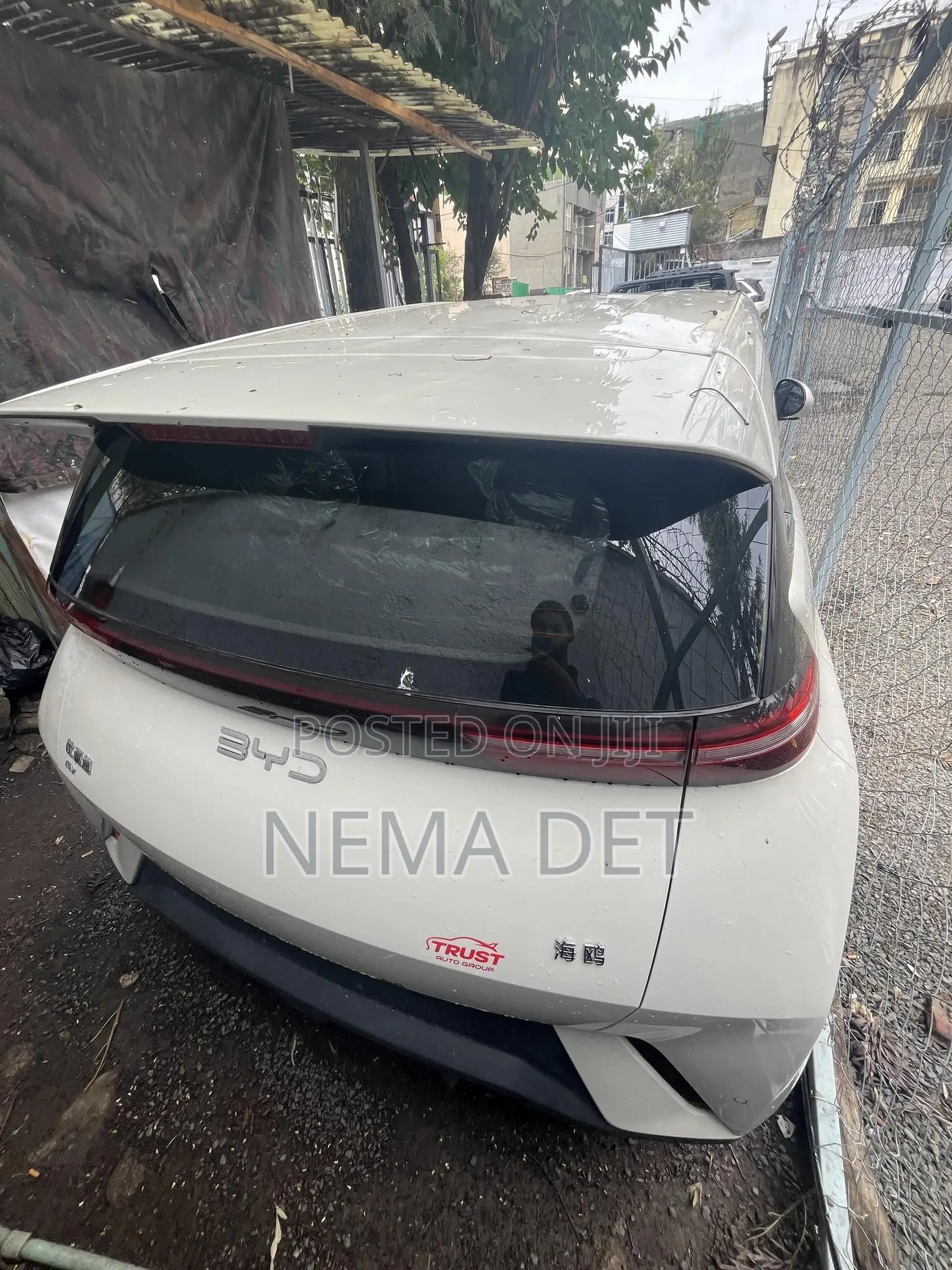 New BYD Seagull 2025 White