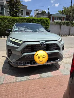 Toyota RAV4 2024 Green
