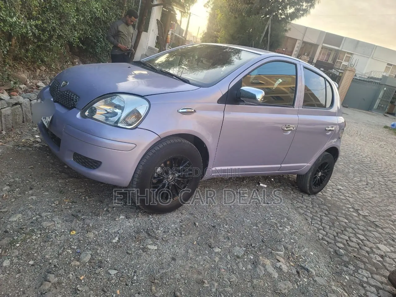 Toyota Vitz 2004 Pearl