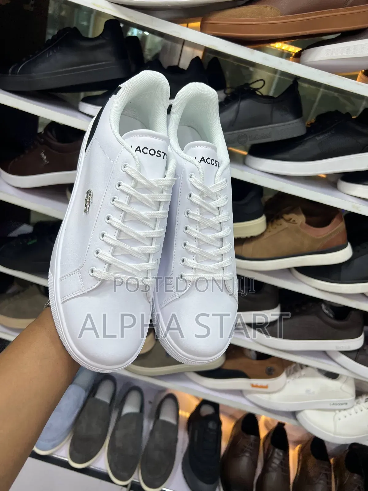 Lacoste White Color High Master Quality Shoes For Man's