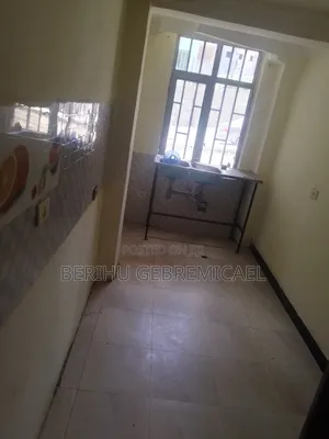 Furnished 2bdrm Condo in አያ, Yeka for rent