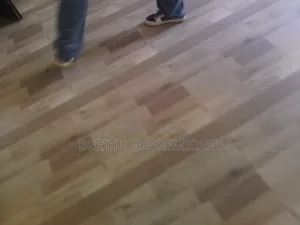 Furnished 2bdrm Condo in አያ, Yeka for rent