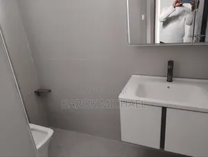 1bdrm Apartment in Bole for rent