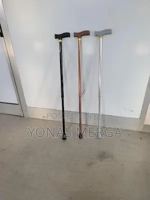 Walking Sticks Is Perfect Aid禢፷light to Middling Support and Balance.