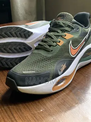 Nike Air Zoom Max Running Shoes