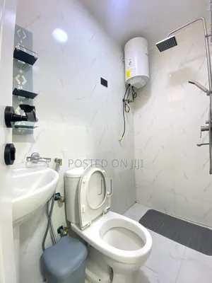 Furnished 2bdrm Apartment in Bole for rent