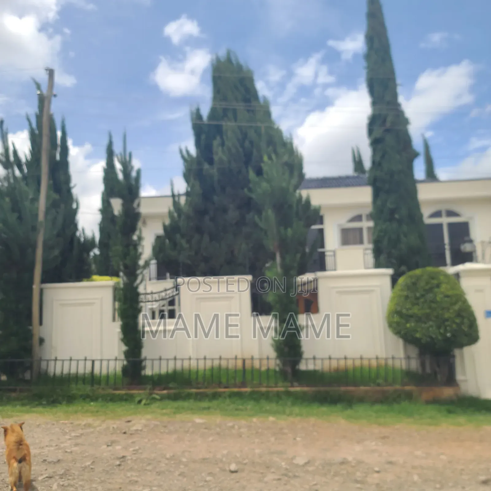 5bdrm House in Addis Abeba, Bole for rent