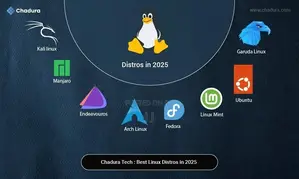 Windows 11