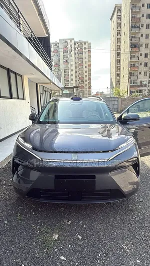 New BYD Tang DM-i 2025 Gray
