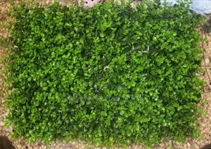 60x40 Greenery