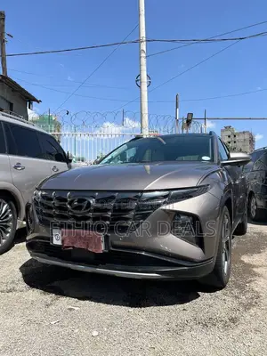 Hyundai Tucson 2021 Brown