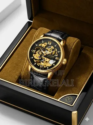 Tevise Men's Automatic Mechanical Skeleton Watch, Featured With Gold