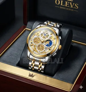 Gracefull Pilot Style Olevs Men's Watch