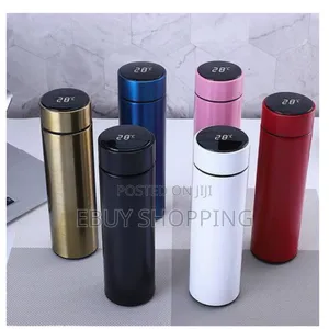 Smart Led Temperature Display Bottle