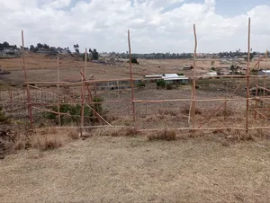 የሚሸጥ 75 ካሬ 5.5 ሚሊየን ብር