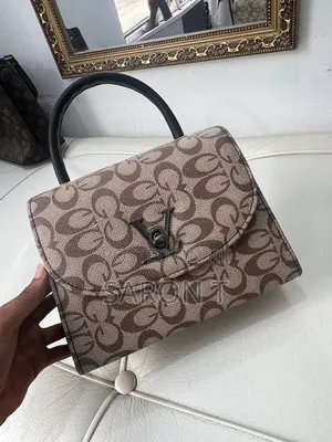 Classy Handbag