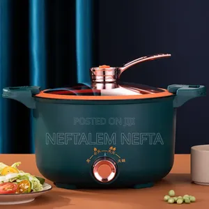 Electric Pressure Cooker