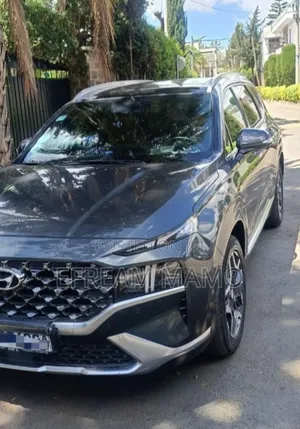 Hyundai Santa Fe 2022 Gray