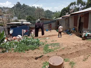 አስቸኳይ ሽያጭ ነዉ ገንዘብ ተፈልጎ