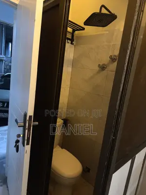 Furnished Mini Flat in Private, Kirkos for rent
