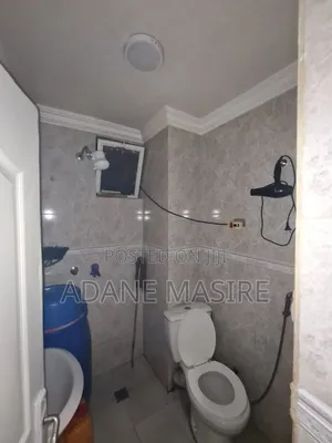 Furnished 2bdrm Condo in Lideta for sale