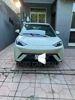 BYD Seagull 2025 White