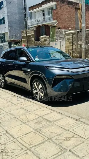 BYD Tang DM-i 2025 Green