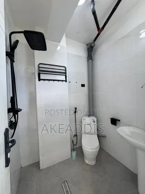 Furnished 1bdrm Condo in Bole Ayat for sale