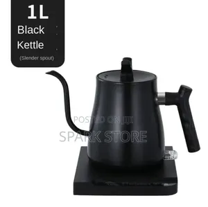 Stainless Steel Coffee Kettle