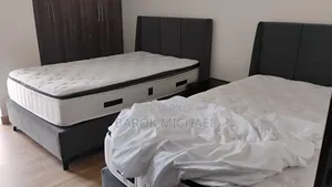 Furnished 2bdrm Apartment in Bole for rent