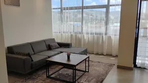 Furnished 3bdrm Apartment in Bole for rent