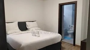 Furnished 3bdrm Apartment in Bole for rent