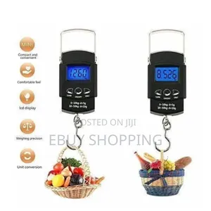 **Jet-check Pro: 110lb Travel Scale For Savvy Explorers**