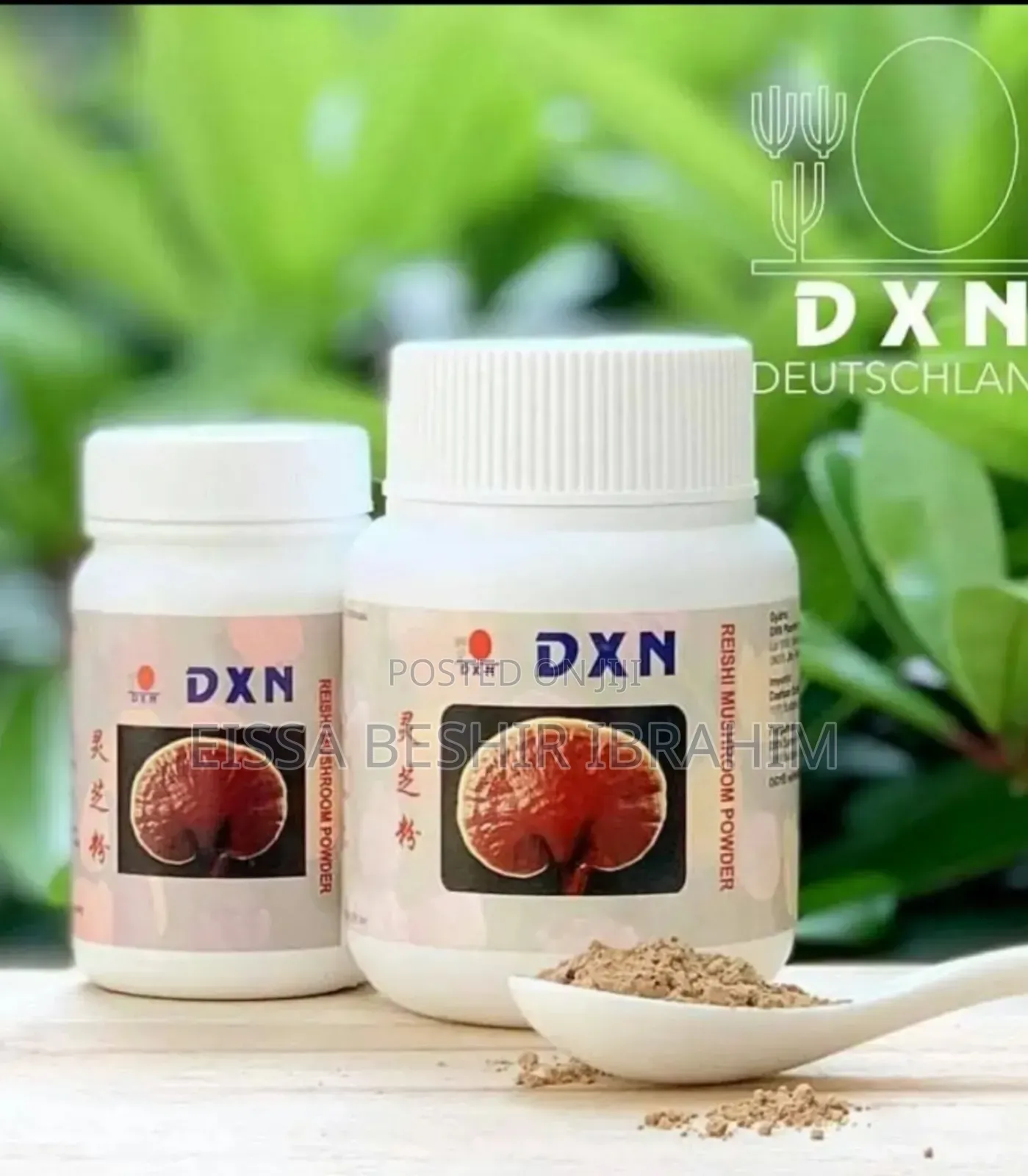 DXN Reshi Mushrum