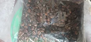 Coffee ቡና (የተቆላ የተፈጨ ጥሬ ብና እናቀርባለን)ከ5ኪሎ በላይ ሲያዙ በነፃ እናደርሳለን