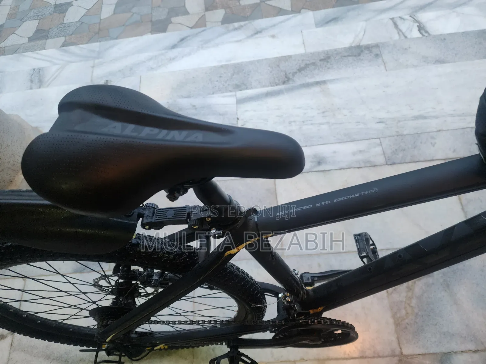 Alpina Mountain Bike