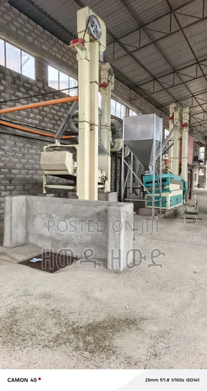 የሰሊጥ ማበጠሪያ ከነማበጠሪያው የሚከራይ መጋዝን