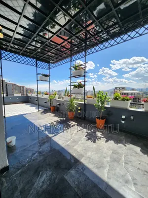 Furnished 3bdrm Penthouse in Bole for sale