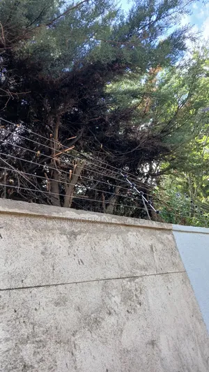 Electric Fence