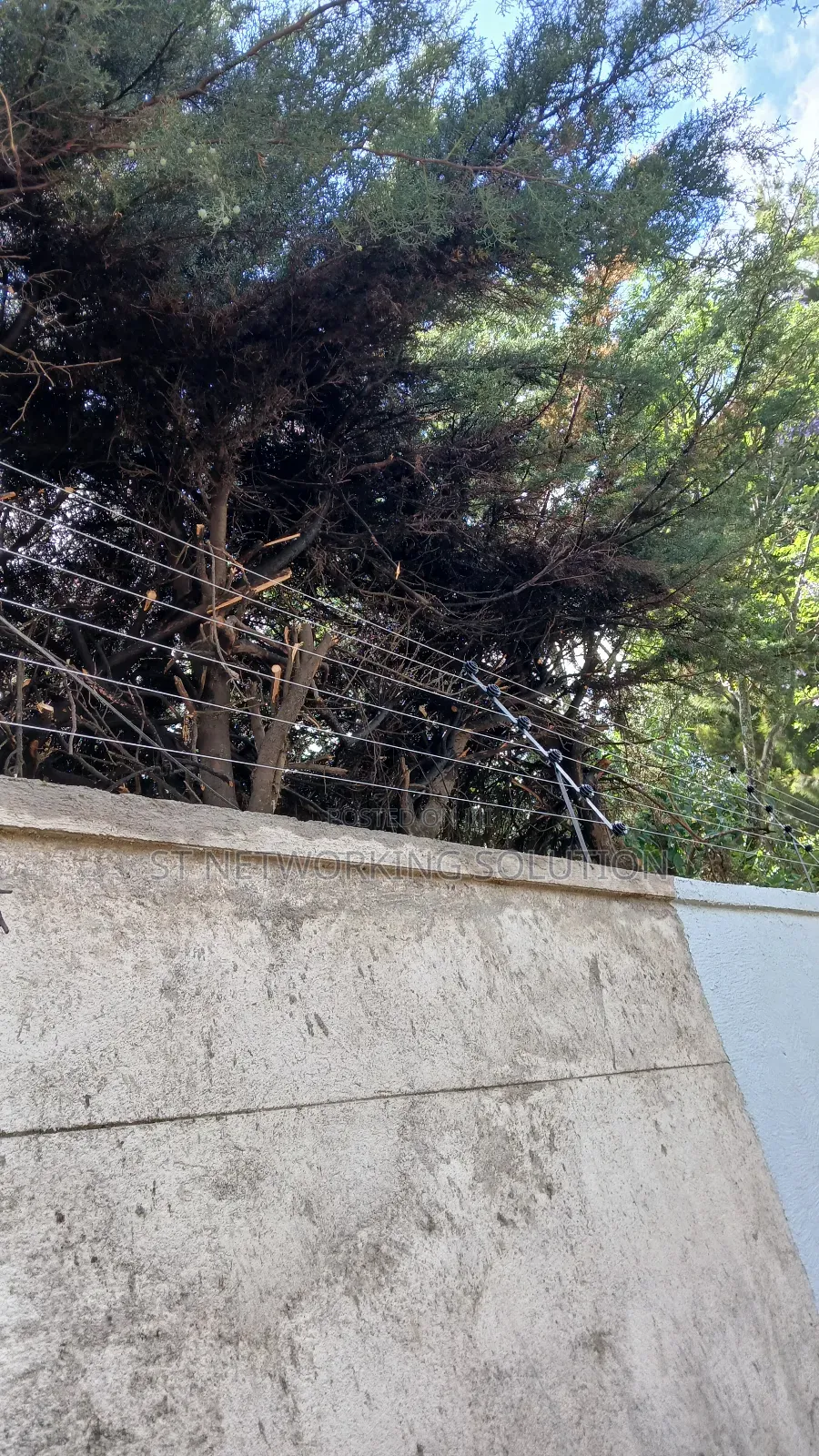 Electric Fence
