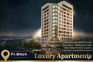 1bdrm Apartment in Dema Hope Real, Yeka for sale