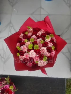 Flowaer Flower