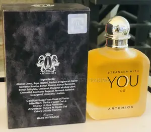 Artemios – Stranger With You Ice
