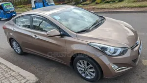 Hyundai Elantra 2015 Brown