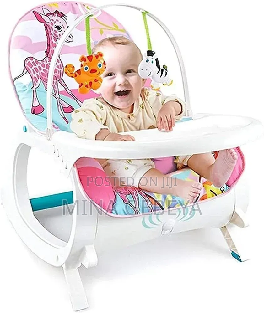 3 In 1 Newborn To Toddler Rocker